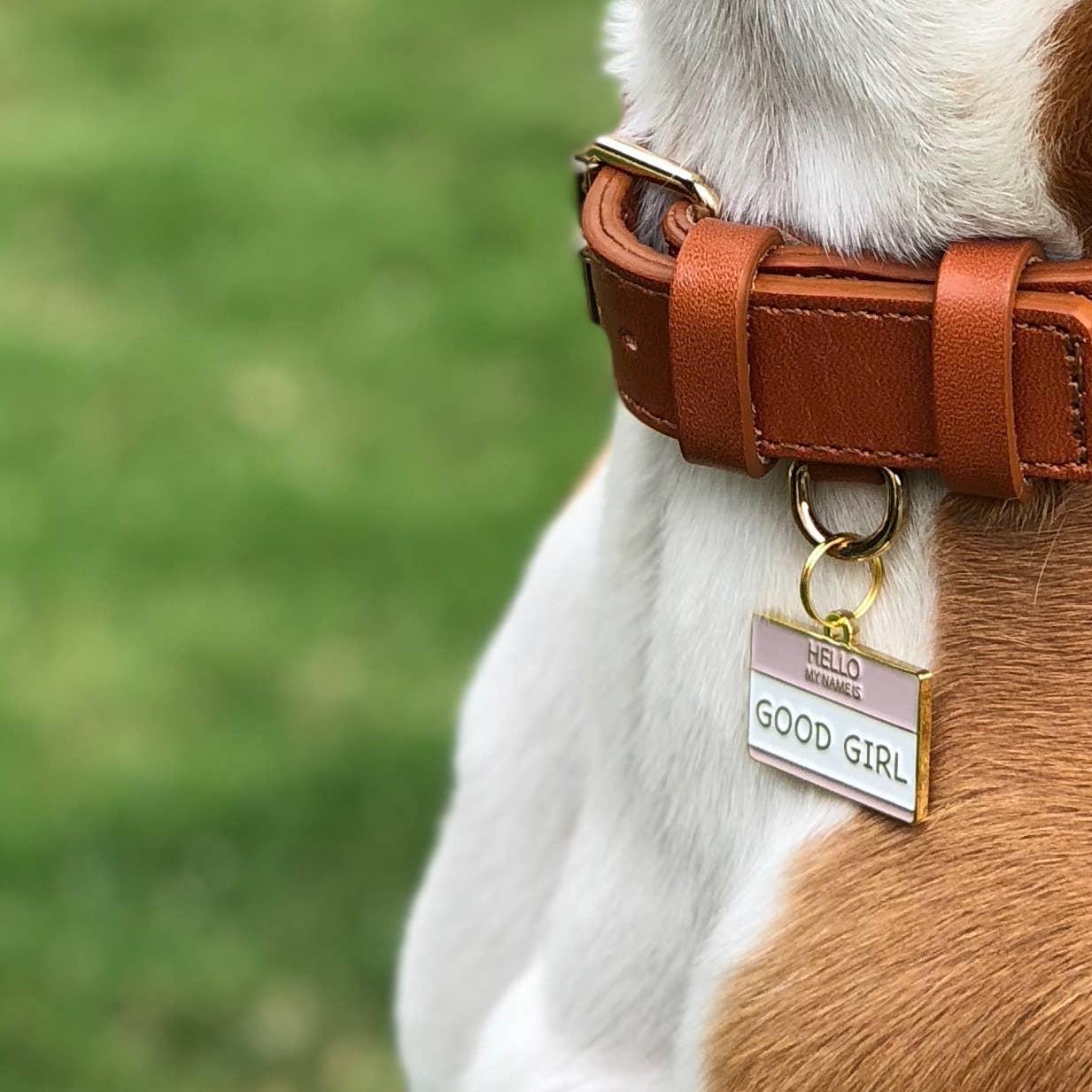 Sweet & Wholesome Pet Collar Tags