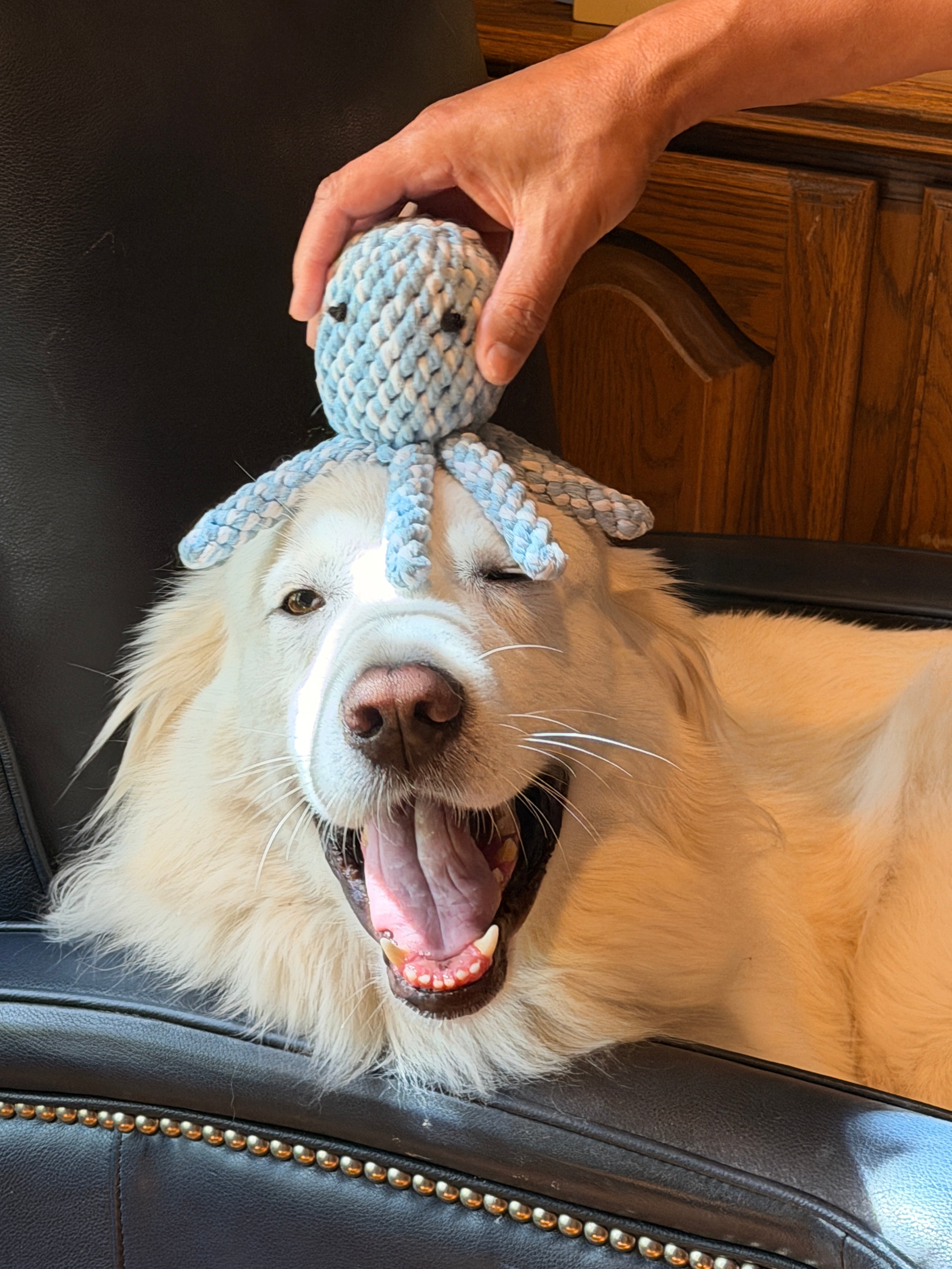 Kai the Octopus Rope Toy — Handcrafted & Eco-Friendly