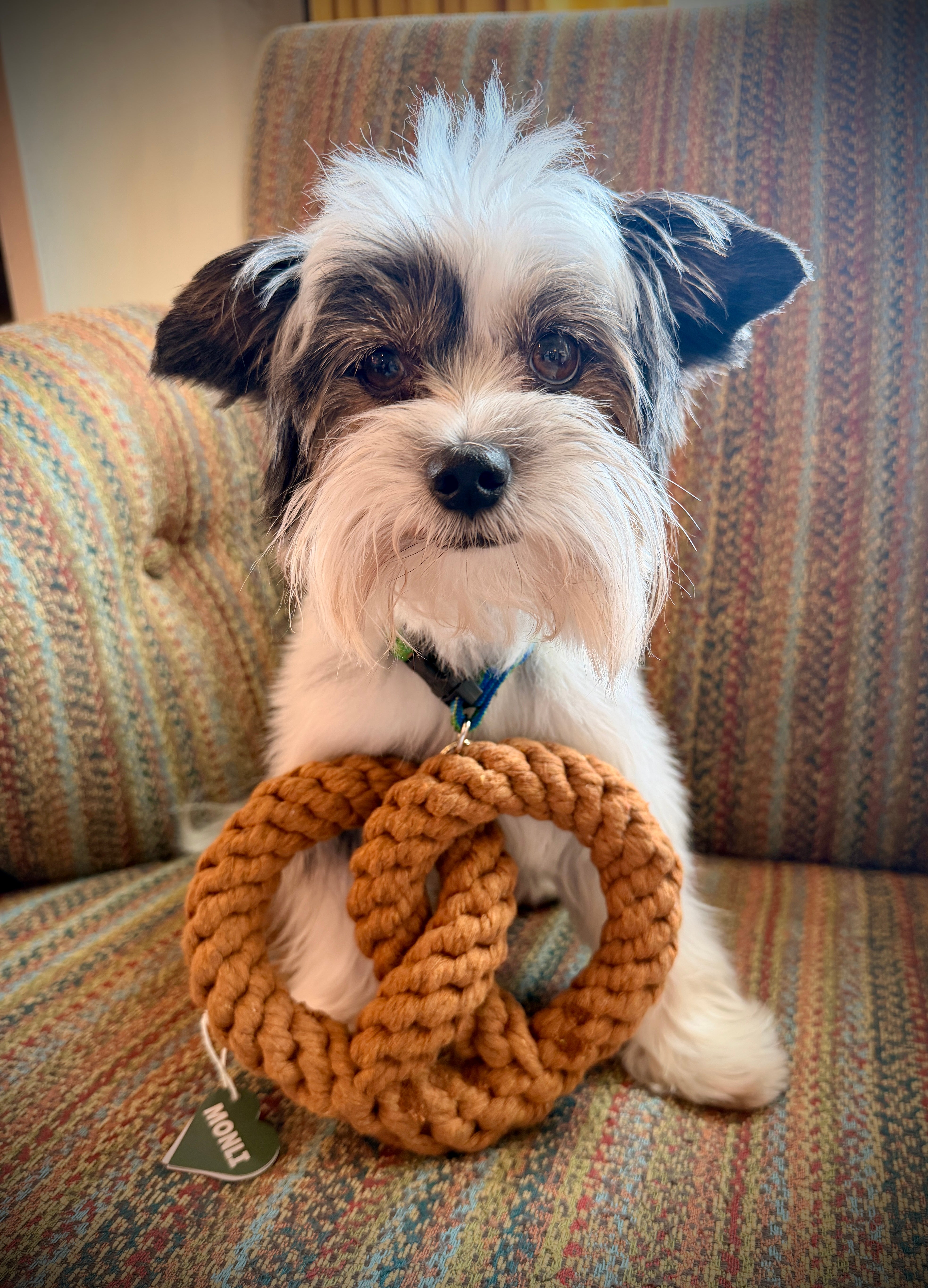 Pretzel Rope Toy — Handcrafted & Eco-Friendly