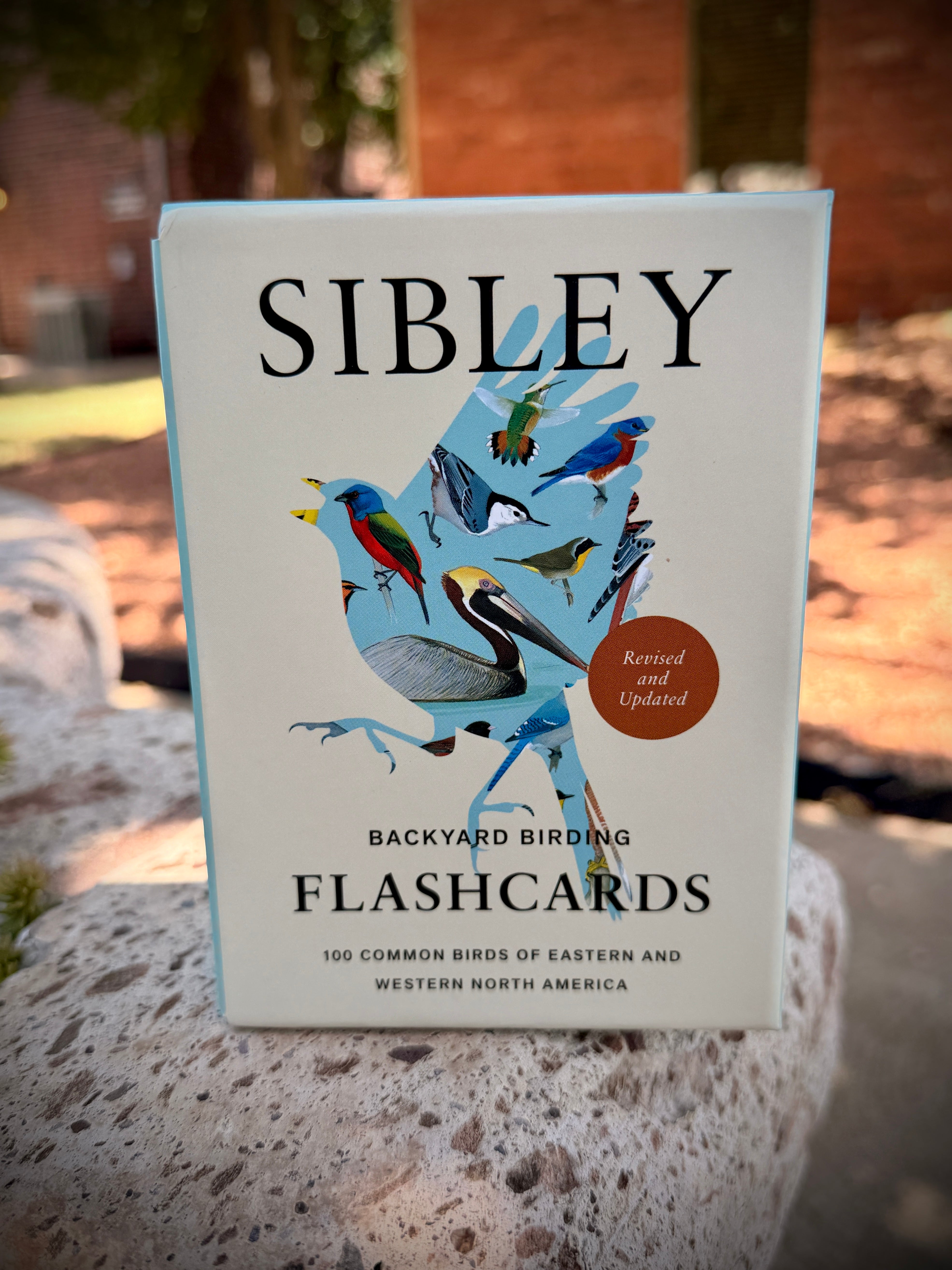 Sibley Backyard Bird Flashcards — Updated Edition