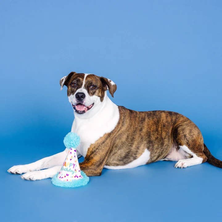 Yappy Barkday! Rubber & Plush Treat Dispenser Dog Toy