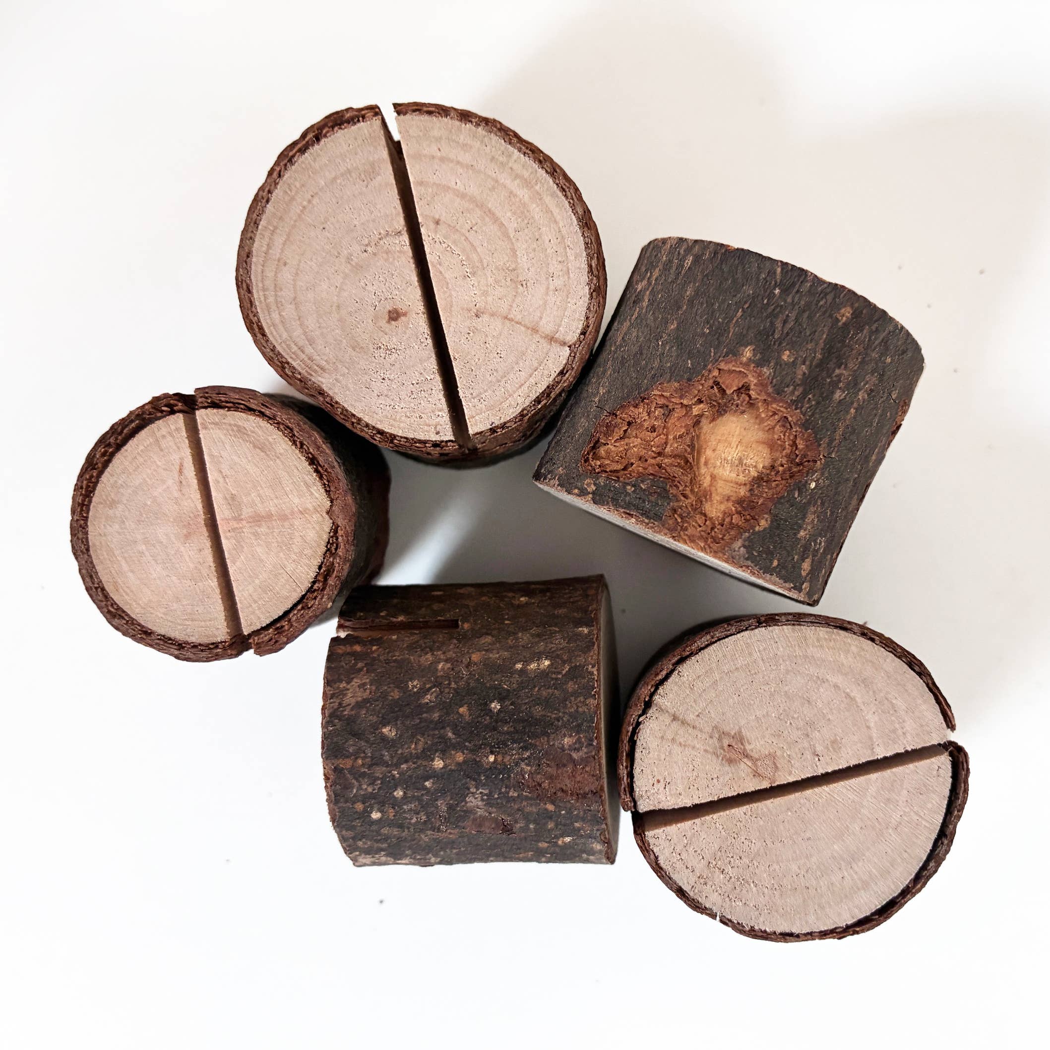 Tiny Tree Stump Card Holder | Nature-Inspired Greeting Card Stand