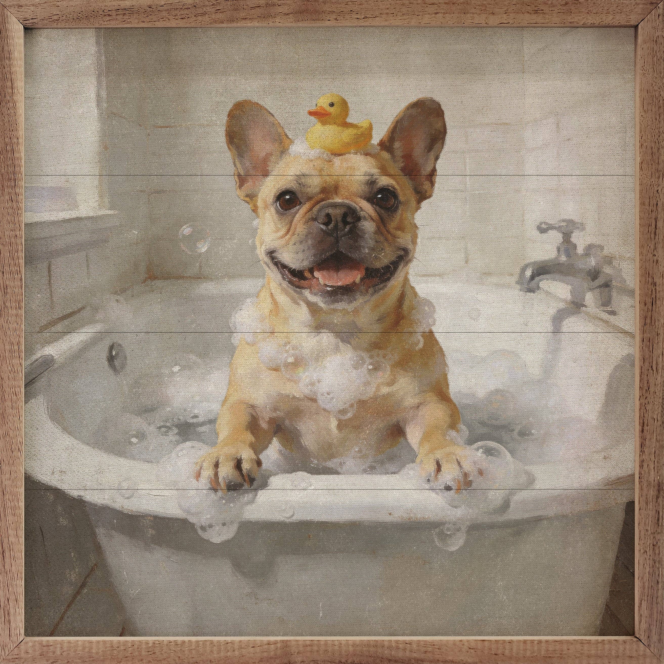Bath Time French Bulldog — Framed Wall Art, 8x8