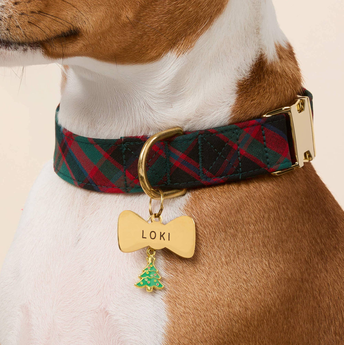 The Foggy Dog: Highland Plaid Dog Collar