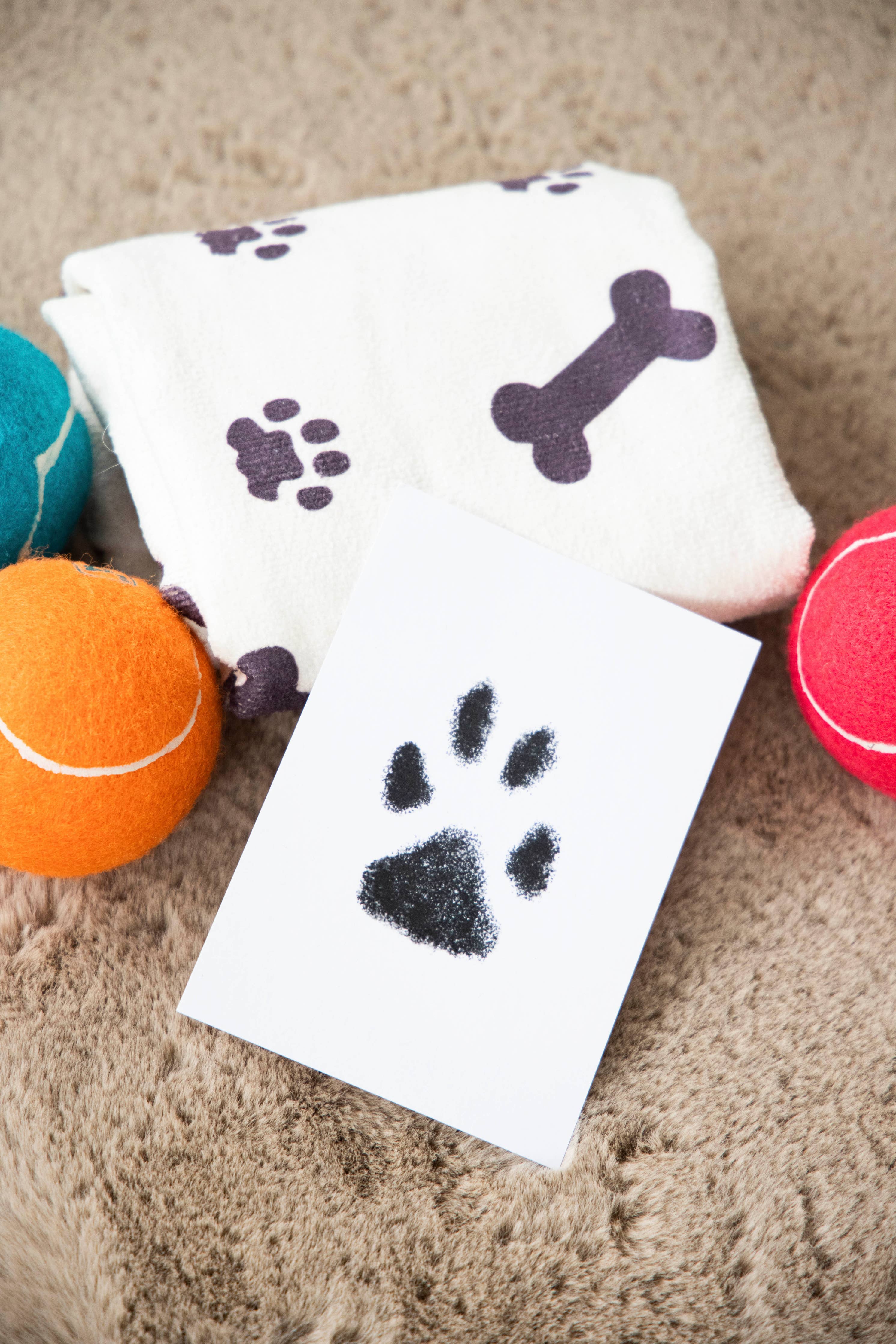 Pet Pawprint Clean-Touch Ink Pad