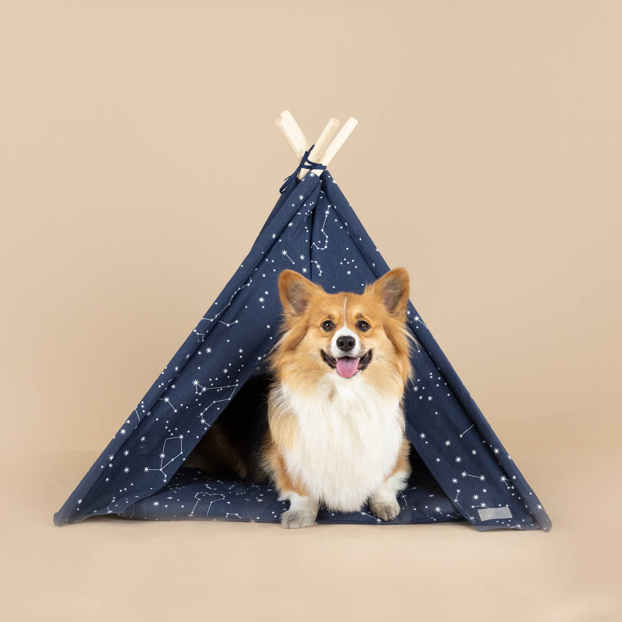 Pet Teepee: Celestial