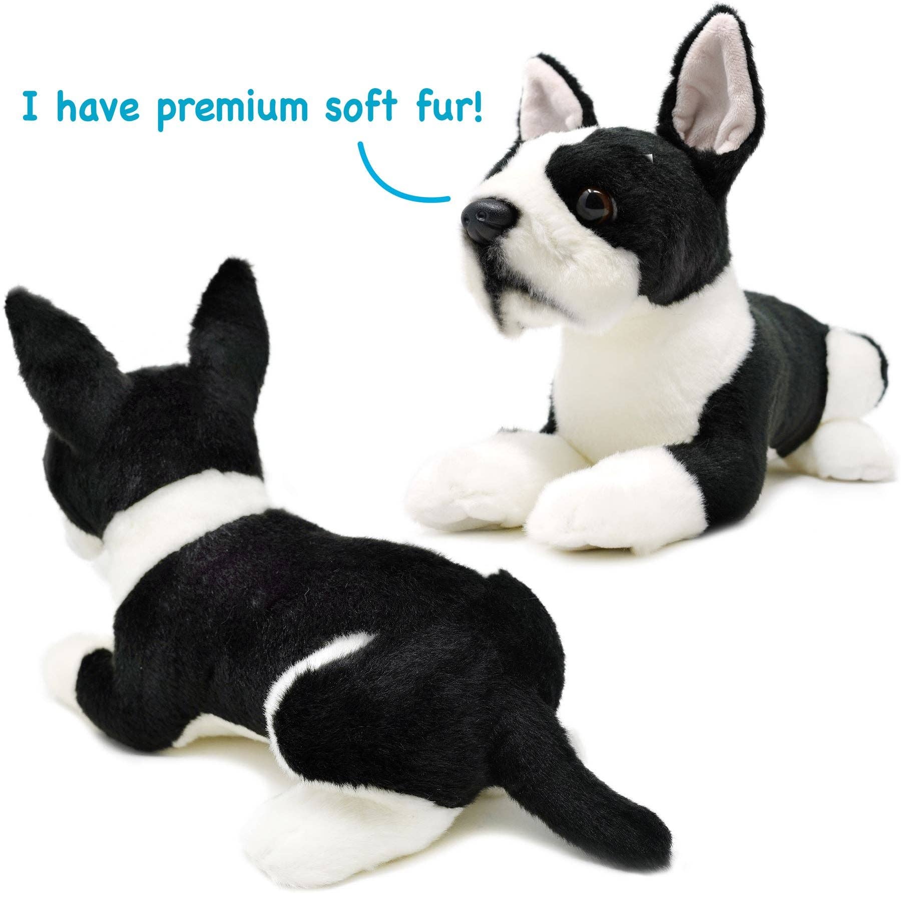 Baxter the Boston Terrier — 13" Stuffed Animal Plush