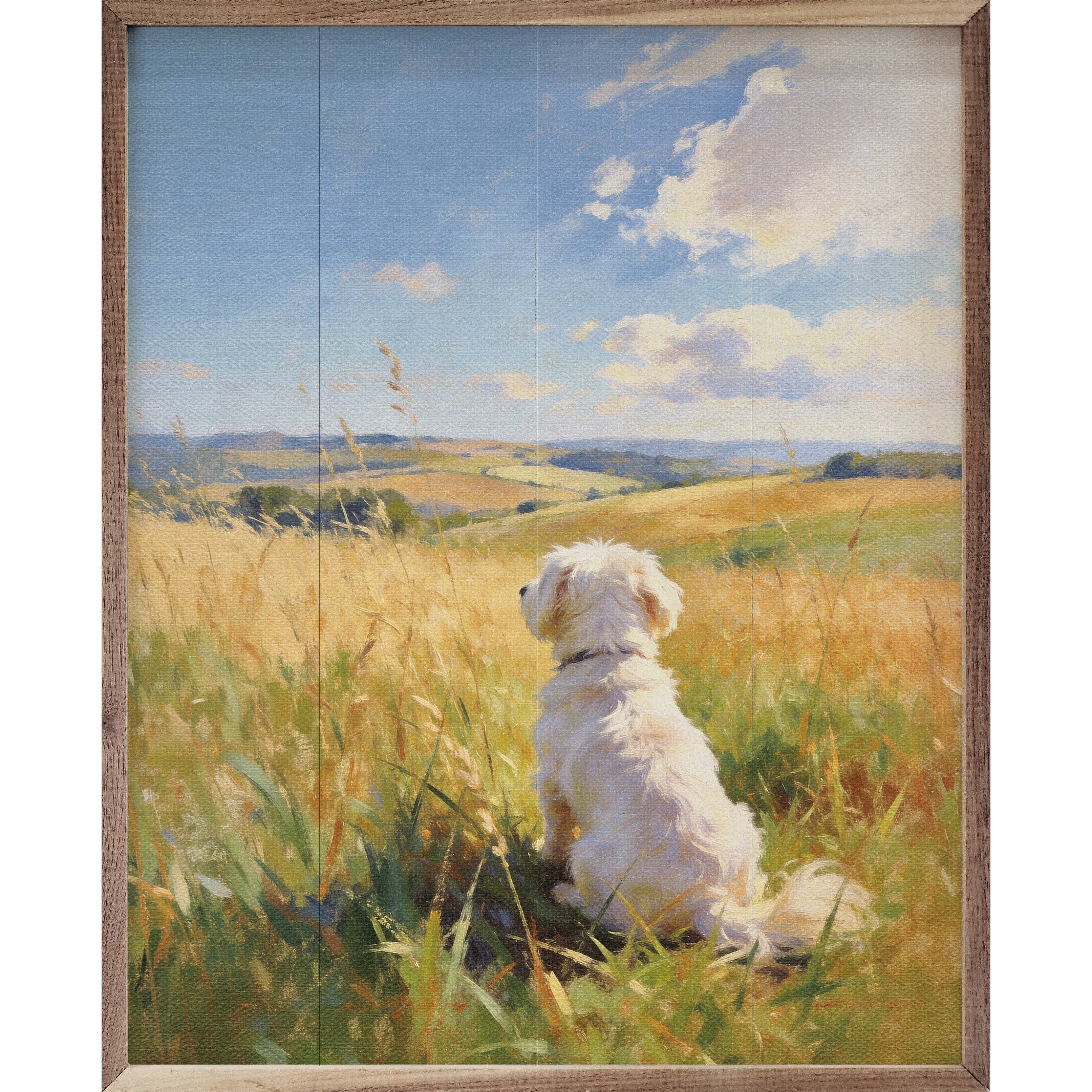 Sunny Day Maltese — Framed Wall Art, 16x20