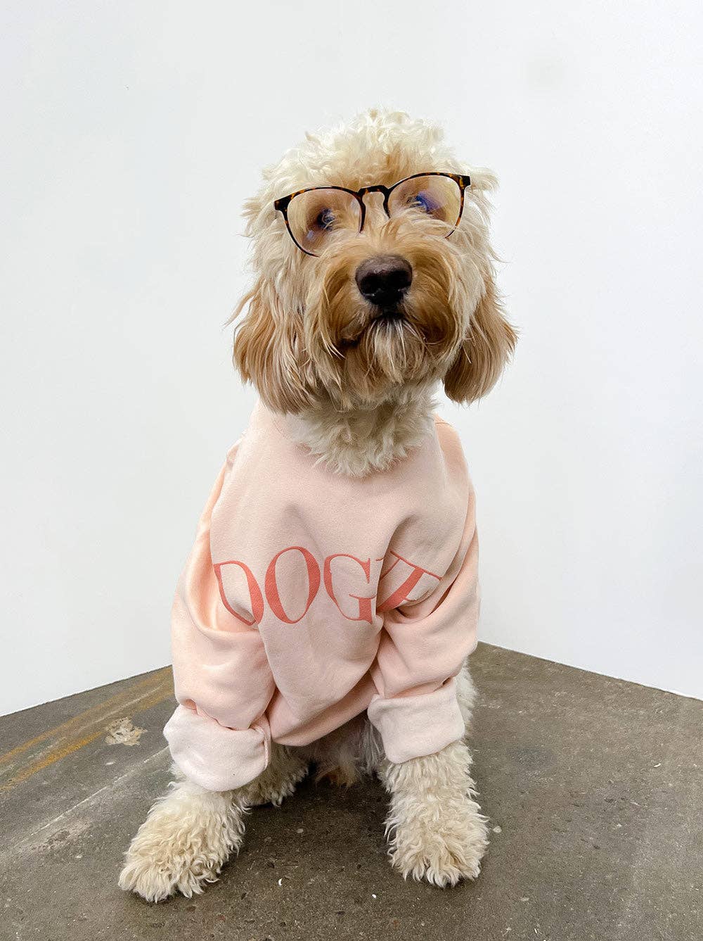 DOUGE Crewneck Sweatshirt