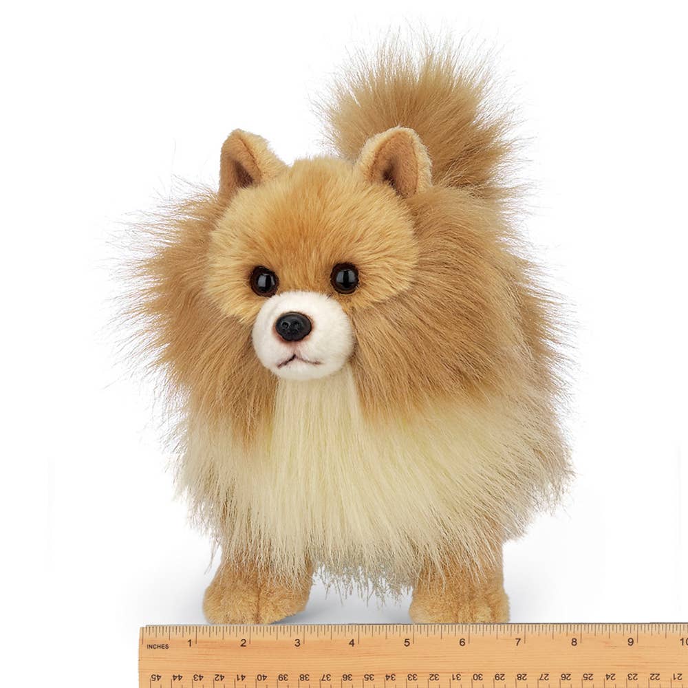 Rudy the Pomeranian — 13" Stuffed Animal Plush
