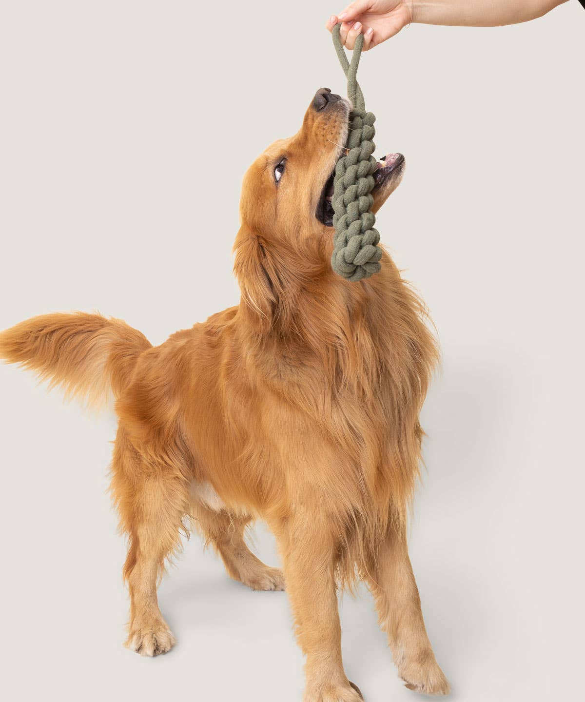 Rope Toss Toy - Hugo's Favorite