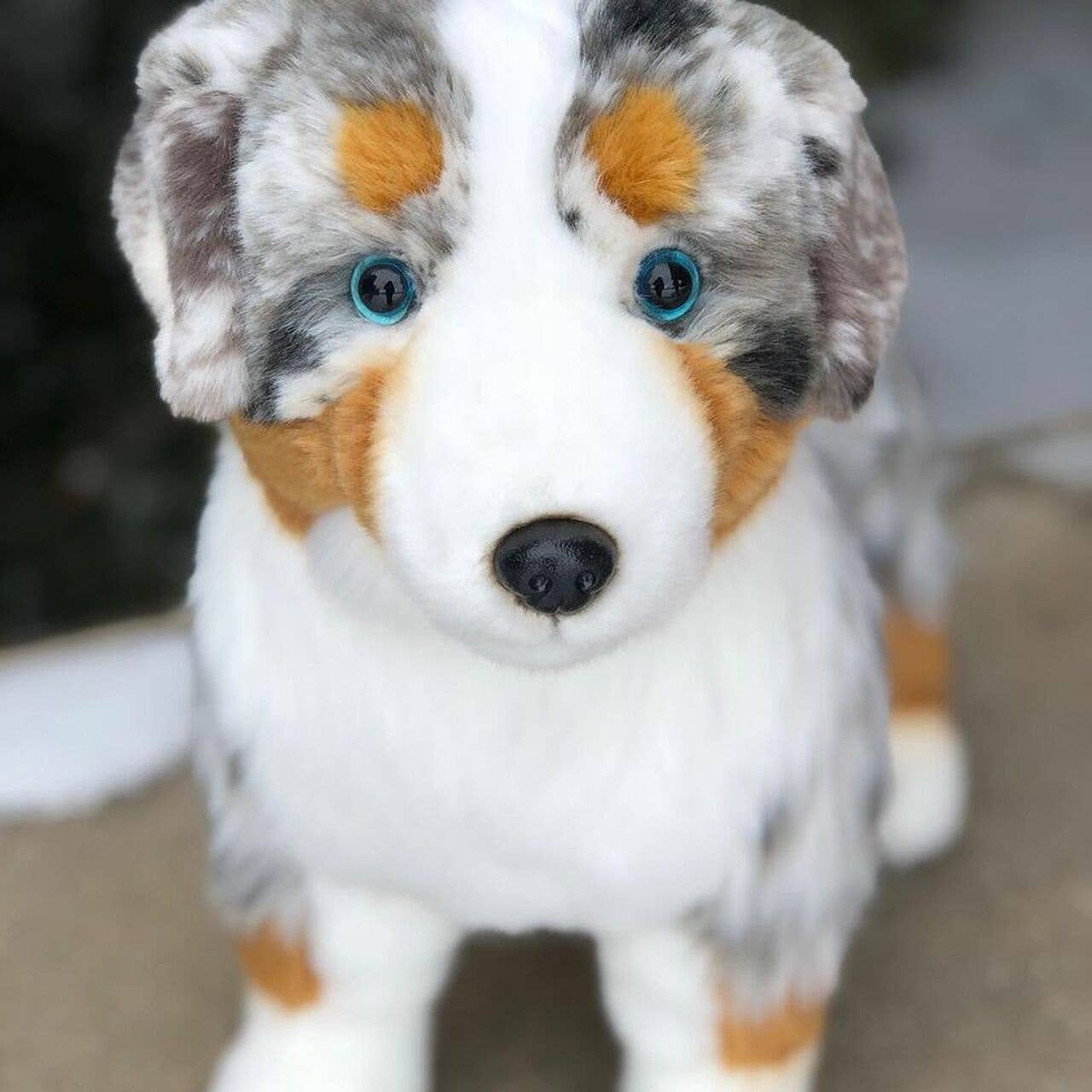 Shep the Australian Shepherd — 22" Premium Plush