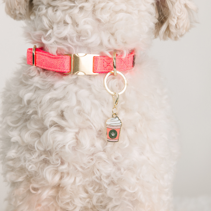 Puppuccino Pet Collar Charm