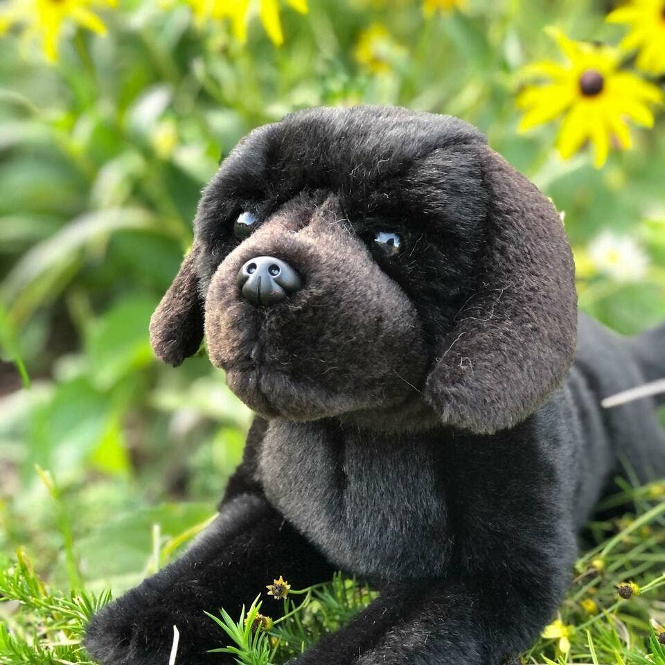Cole the Black Labrador — 16" Stuffed Animal Plush